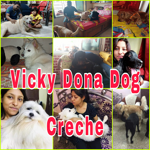 Vicky Dona Dog Creche - We are now open again for our beloved furry babies. We are back in servic…