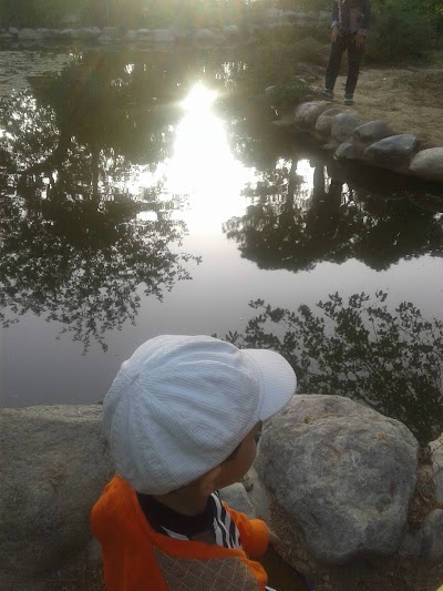 Photos of Sahand Park