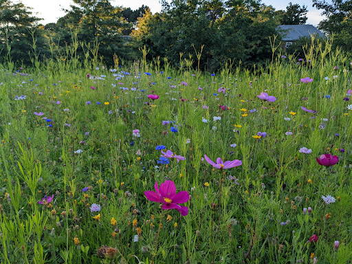 Farington Park - Thumbnail