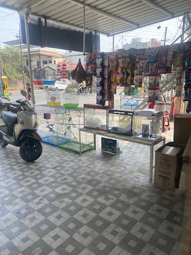 Gallery image 2