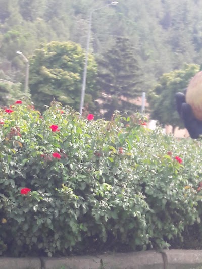 Photos of Amasya Esnaf Ve Sanafkarlar Odası Başkanlığı