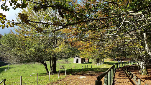 Monte Terminio Avellino Destimap Destinations On Map