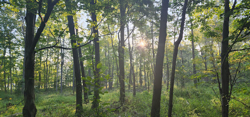 Ernst Trail Mercer Pike Trail Head - Thumbnail