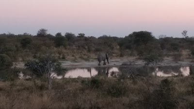 Photos of Tuskers Bush Camp