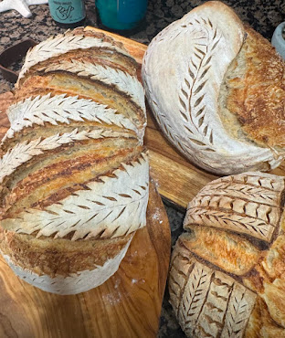 sourdough Miami by null