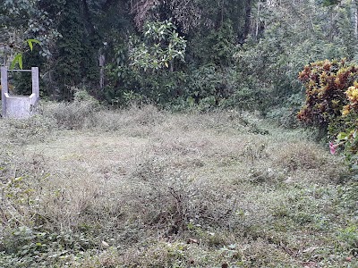 Photos of Dharmashoka Mawatha