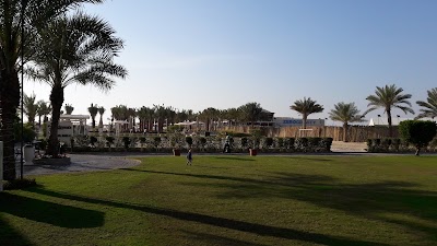 Photos of XL Dubai