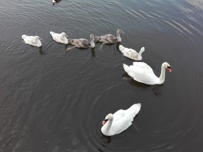 Photos of Lauwersmeer Bungalows