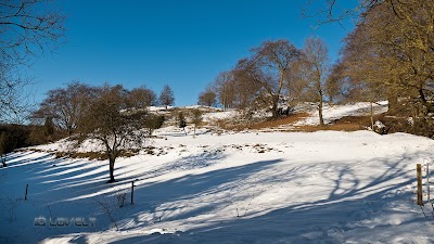 Photos of Hoher Stein