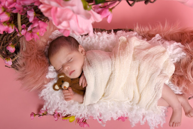 FotóM - fényképészet PhotoM- Photography