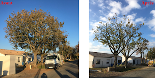 Photo n°22 de Elagage d'avenir (Locapel Paysages) à Challans (Service d'élagage)