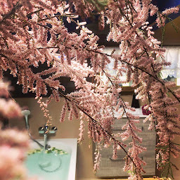 Photo n°27 de Le Petit Nid d'Amour à Montriond (Appartement de vacances)