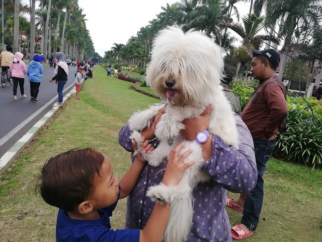 CFD Ijen Musem Brawijaya