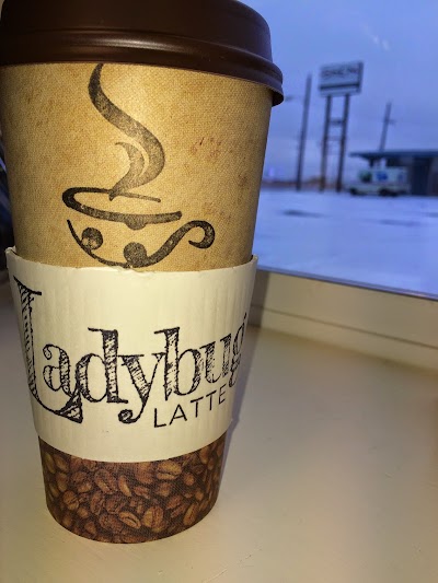 Ladybug Latte