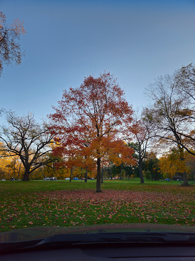 Sycamore Shelter