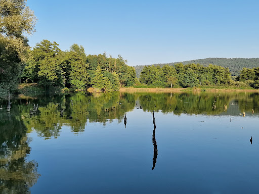 Pista ciclabile lago di Comabbio - Thumbnail