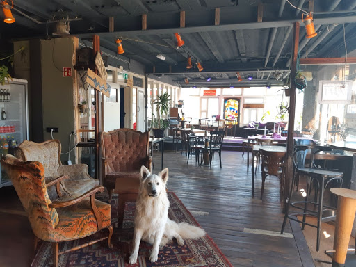 Kunstcafé - Visual