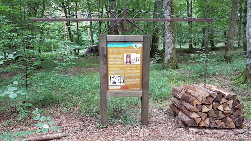 Bohnerzpfad