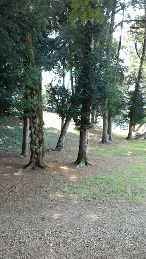 Parco Rizzi - Visual
