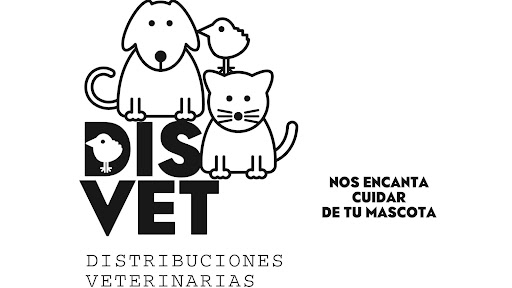 Disvet - Visual