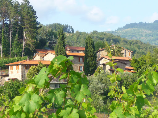 Agriturismo Poppiena - Thumbnail
