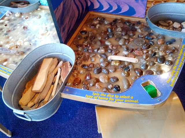 Museum Of Contemporary Art Jacksonville