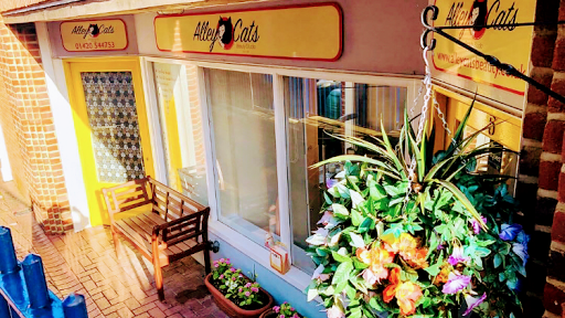 Alley Cats Beauty Studio