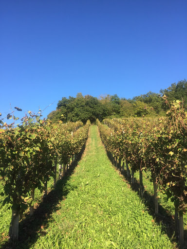 Domaine Bayard - Thumbnail