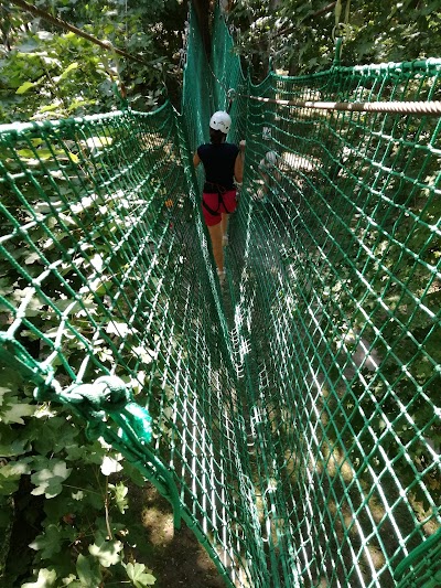 photo of Old Lake Adventure Park