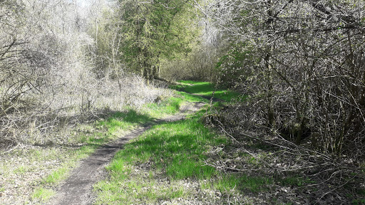 MTB route - Visual