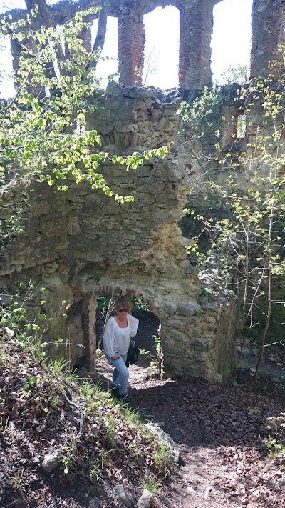 Photos of Burgruine Hochhaus