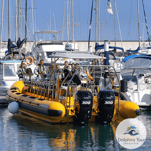 Dolphin tours Lanzarote - Thumbnail