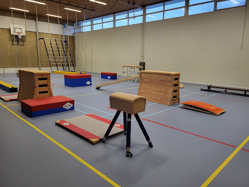 Gymzaal Stadsfenne - Thumbnail