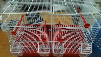 Photos of Badah Foundation for birds