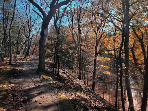 Eighteenmile Creek Conservation Park - Thumbnail