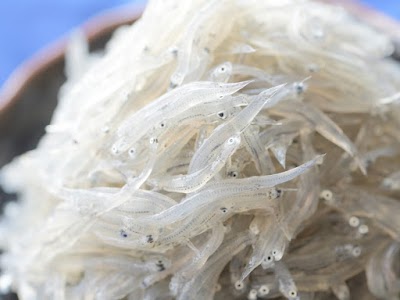 しらす屋 カネナカ商店