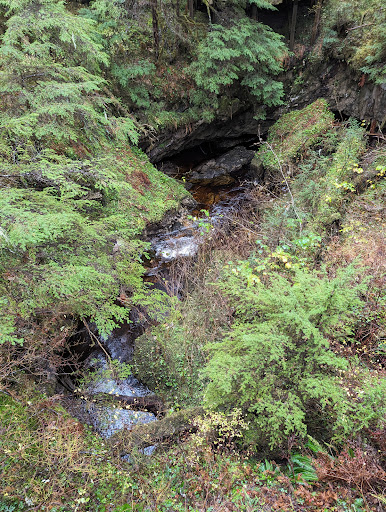 Beaver Falls Karst Trail - Thumbnail