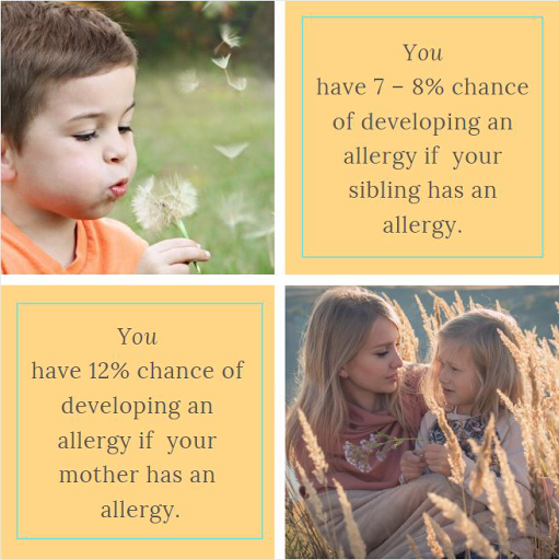 Allergy Medical Group - Thumbnail