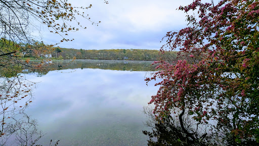 Jordan Pond Walking Trail - Thumbnail