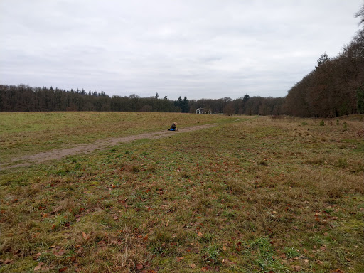 Vakantiepark De Maarnse Berg - Thumbnail