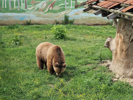 Bingo Zoo Tuzla - Thumbnail