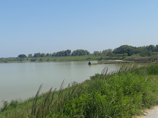 Capannone da pesca - Visual