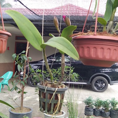 Photos of Warkop Sobirin