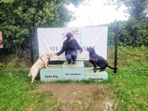 Off Lead Agility - Thumbnail