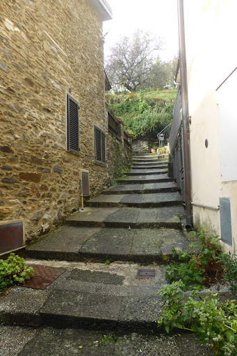 Volegno - Visual