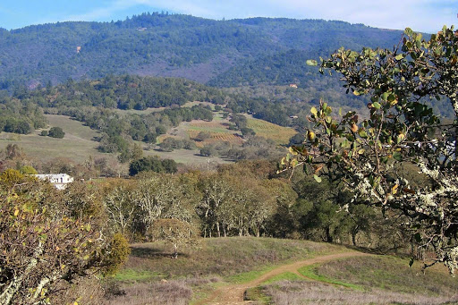 Kerr and Jones Know Sonoma - Thumbnail