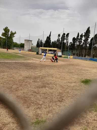 Campo Da Baseball Catalana Baseball & Softball Gallery - Italy