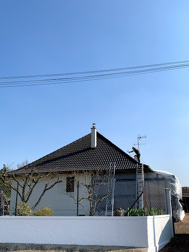 Photo de BUCH.A à Migné-Auxances (86440)