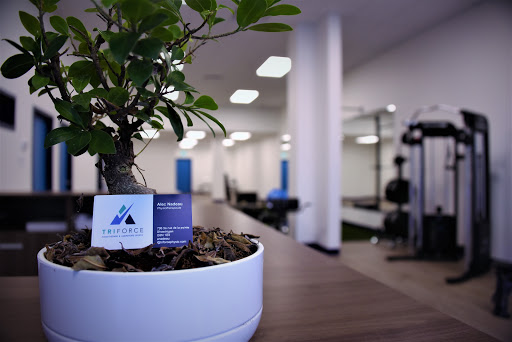 Triforce Physio - Visual