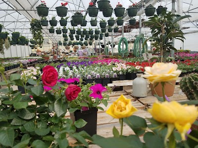 Rugby Greenhouse